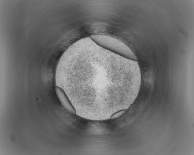 X0000111940372200909071304