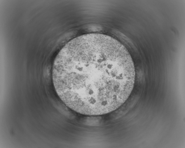 X0000111940373200909071304