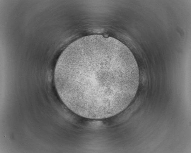 X0000111940374200909071304