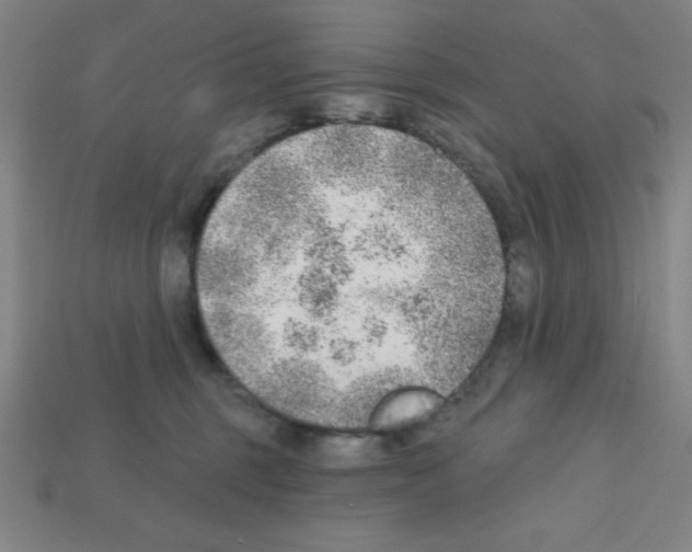 X0000111940375200909071304