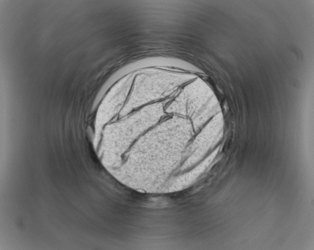 X0000111940376200909071304