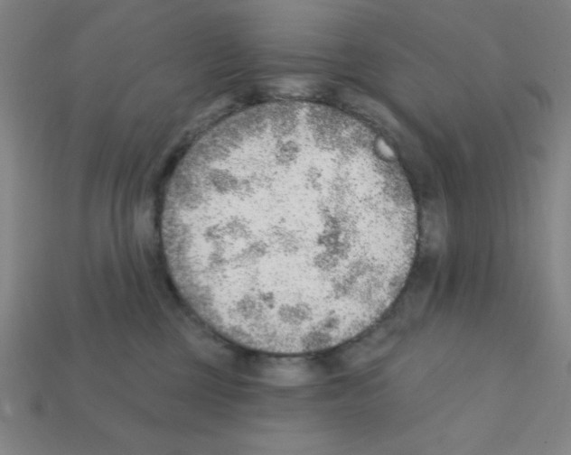 X0000111940377200909071305