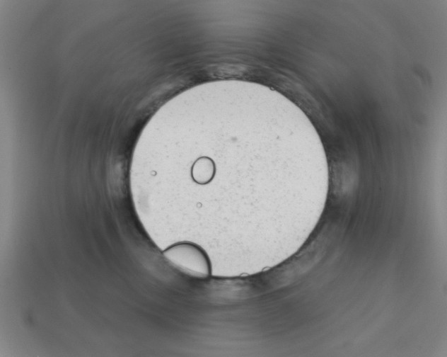 X0000111940378200909071305