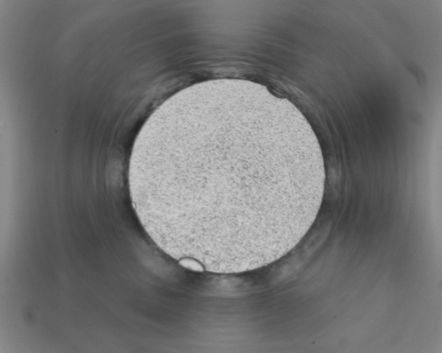 X0000111940379200909071305