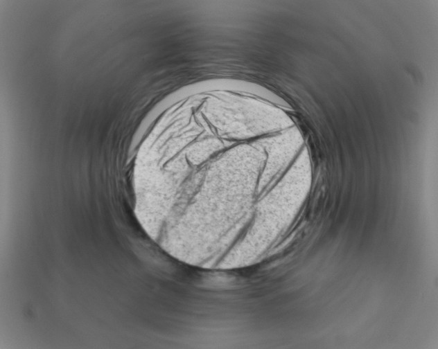 X0000111940380200909071305
