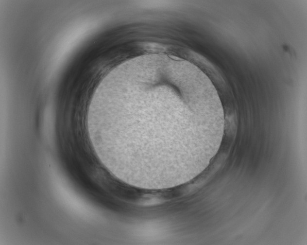 X0000111940381200909071305