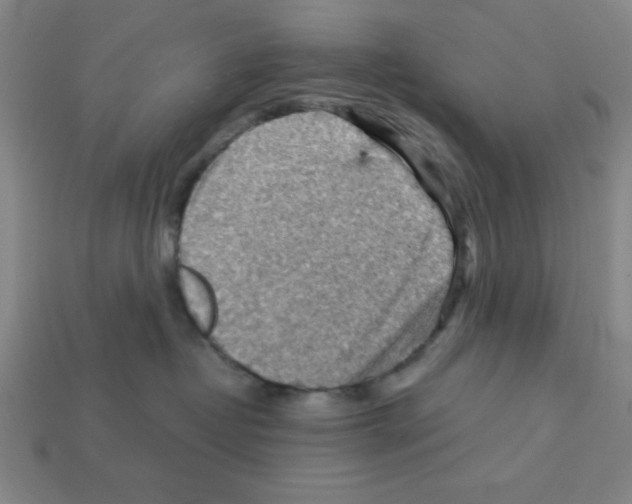 X0000111940382200909071305