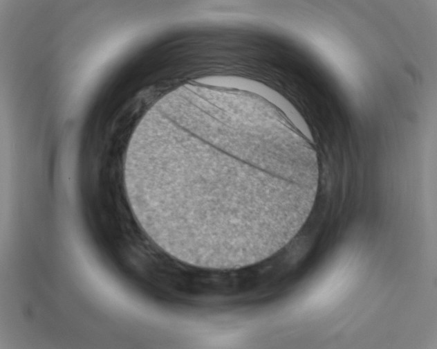 X0000111940383200909071305