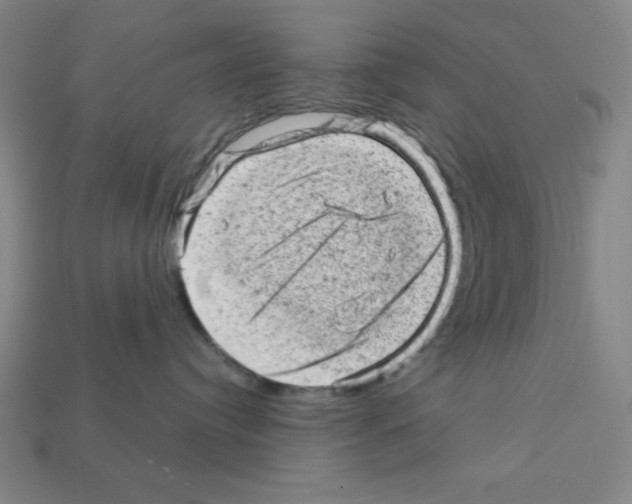 X0000111940384200909071305