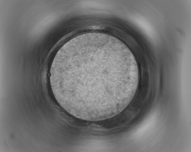 X0000111940387200909071304