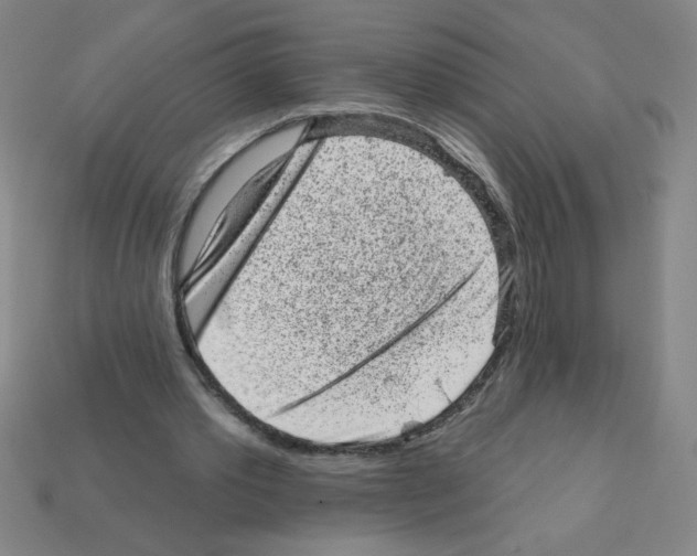 X0000111940389200909071304