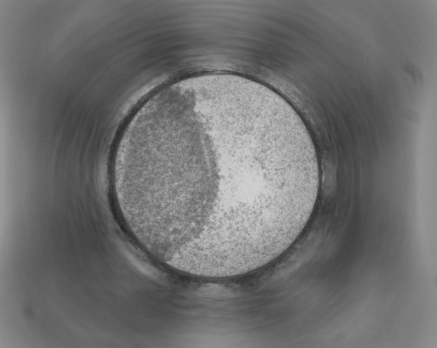 X0000111940390200909071304