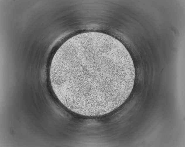 X0000111940392200909071304