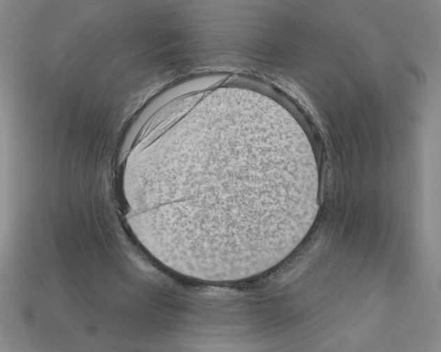 X0000111940393200909071304