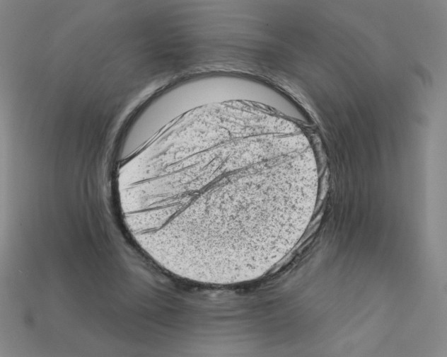 X0000111940395200909071304
