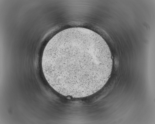 X0000111940396200909071304
