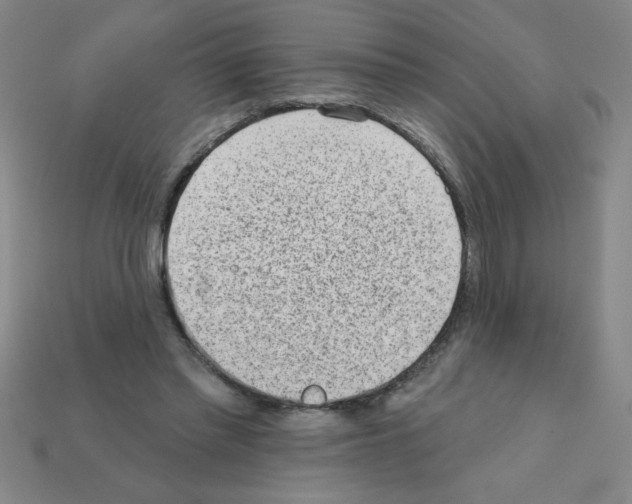 X0000111940397200909071304