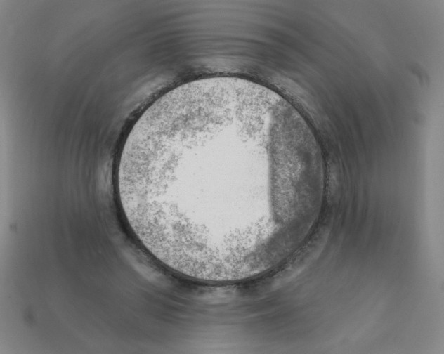 X0000111940398200909071304