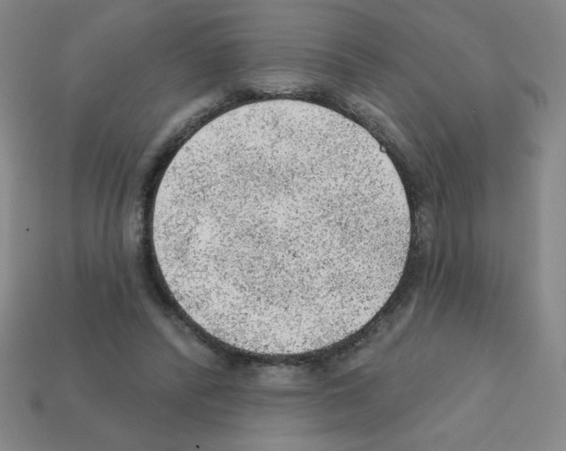 X0000111940400200909071304