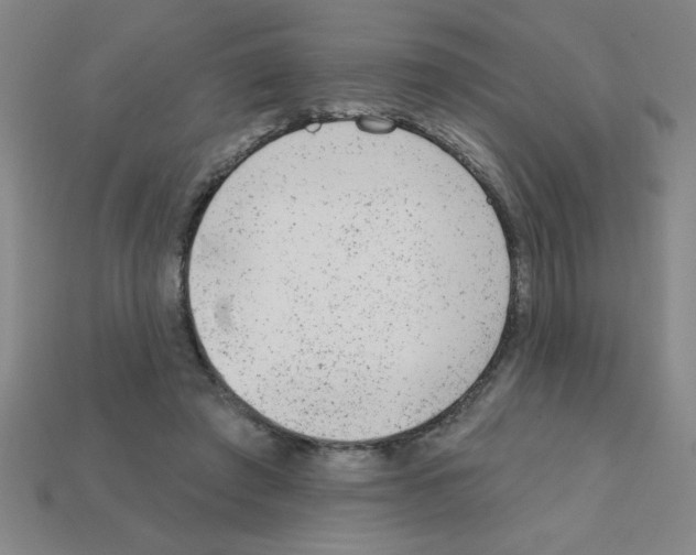 X0000111940401200909071304