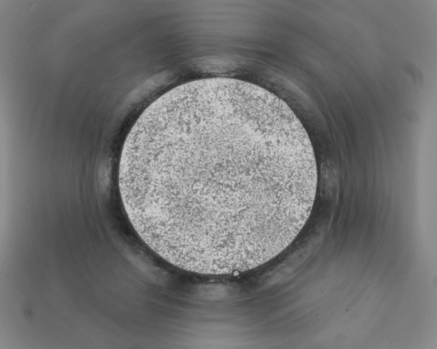 X0000111940404200909071304