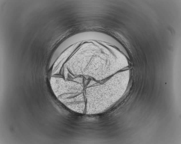 X0000111940405200909071304