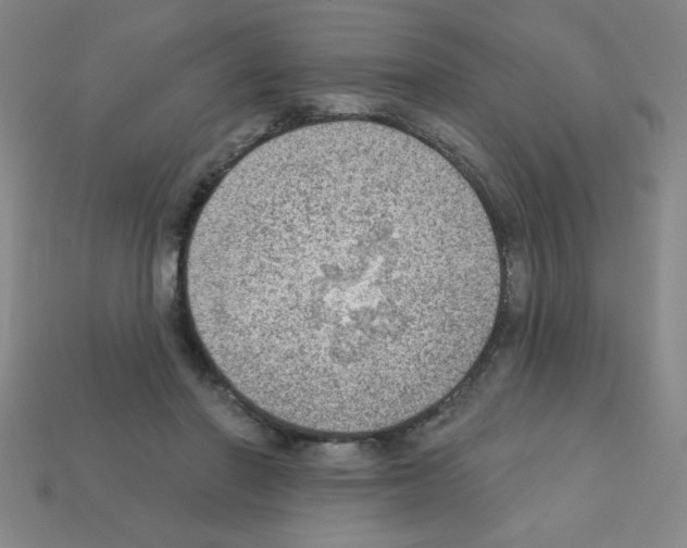 X0000111940406200909071304