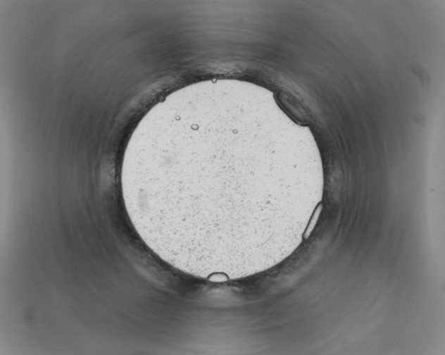 X0000111940407200909071304
