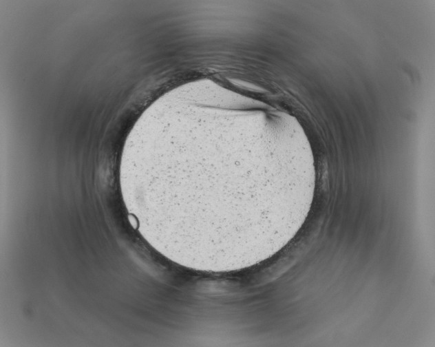 X0000111940408200909071304