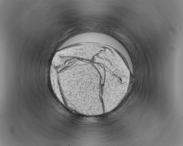 X0000111940409200909071304