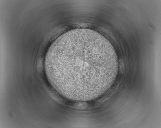X0000111940410200909071304