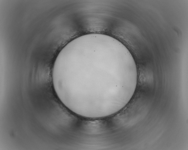 X0000111940411200909071304