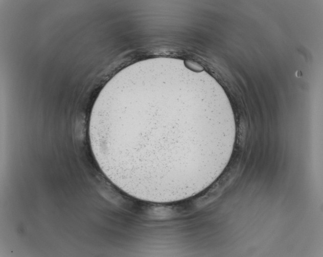 X0000111940413200909071304