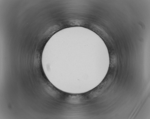 X0000111940414200909071304