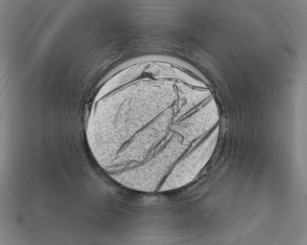 X0000111940415200909071304