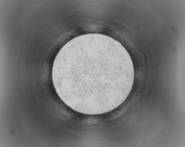 X0000111940416200909071304
