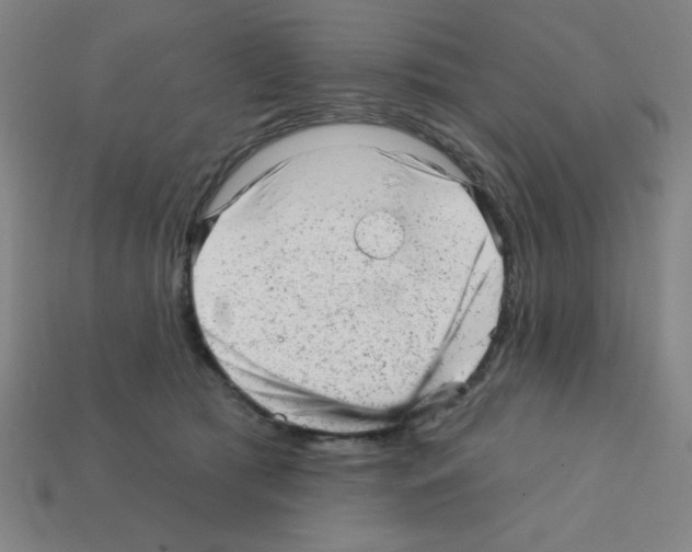 X0000111940417200909071304
