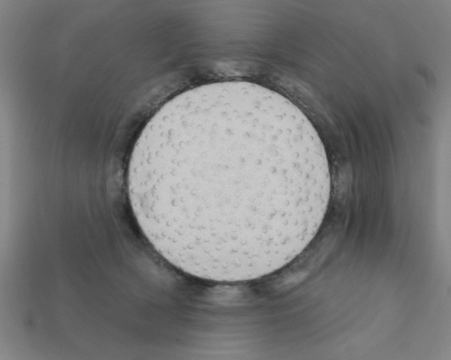 X0000111940418200909071304