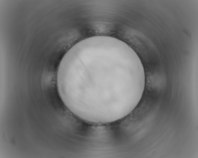 X0000111940419200909071304