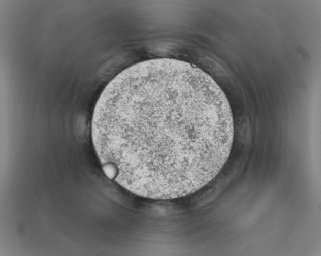 X0000111940420200909071304