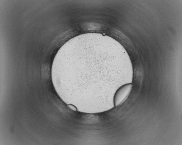 X0000111940421200909071304