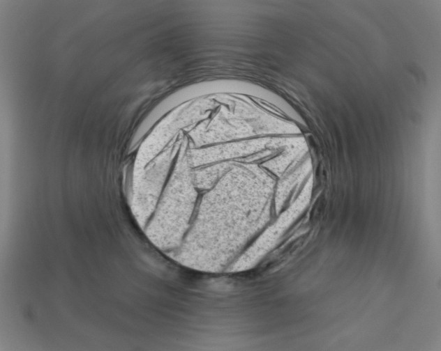 X0000111940423200909071303
