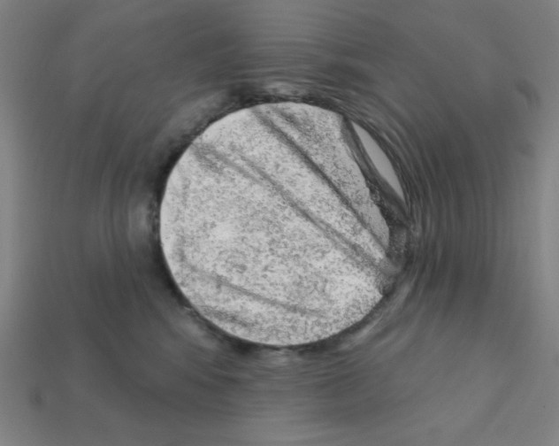 X0000111940424200909071303