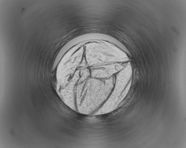 X0000111940425200909071303