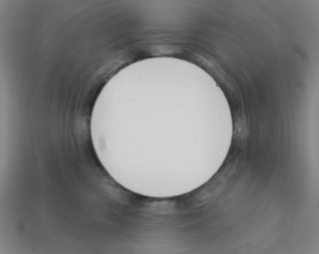 X0000111940426200909071303