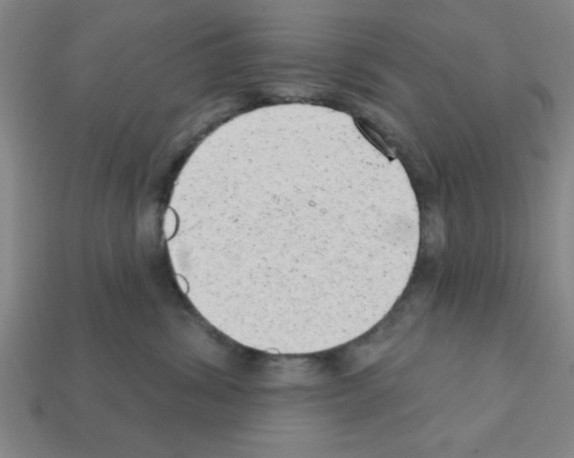 X0000111940428200909071303