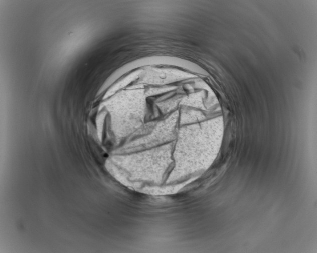 X0000111940429200909071303