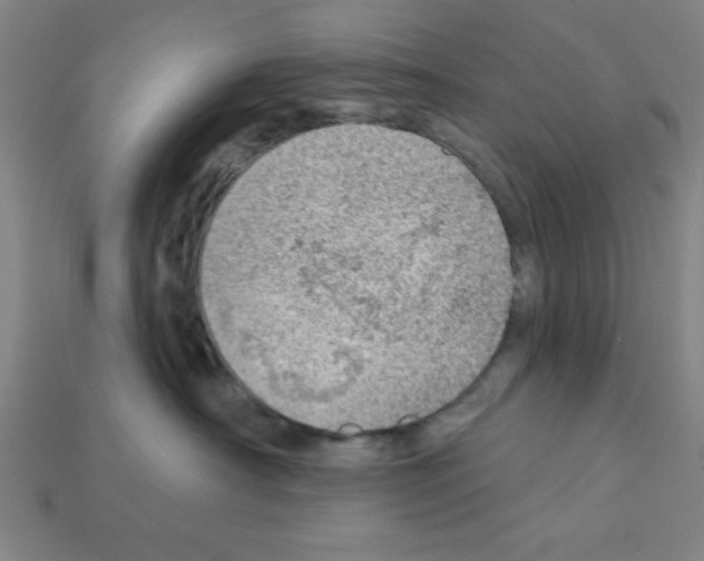 X0000111940430200909071303