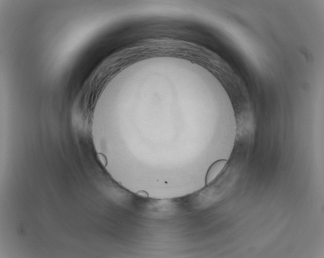 X0000111940431200909071303