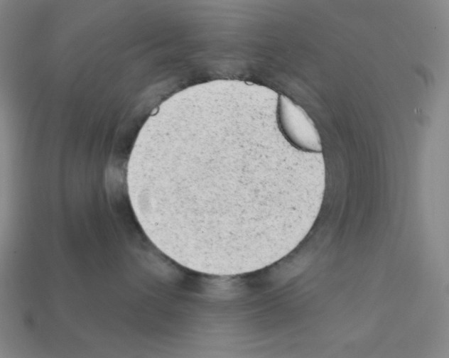 X0000111940432200909071303